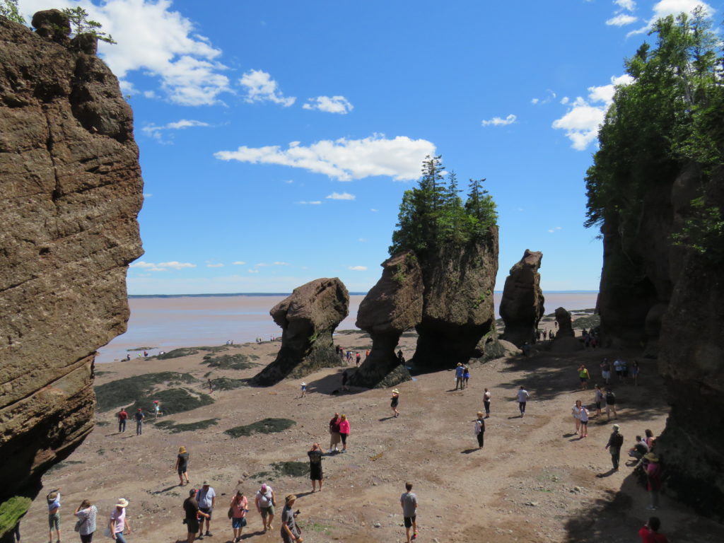 A Fun-Day at the Bay of Fundy: Hopewell Rocks! – Big Beaver Diaries